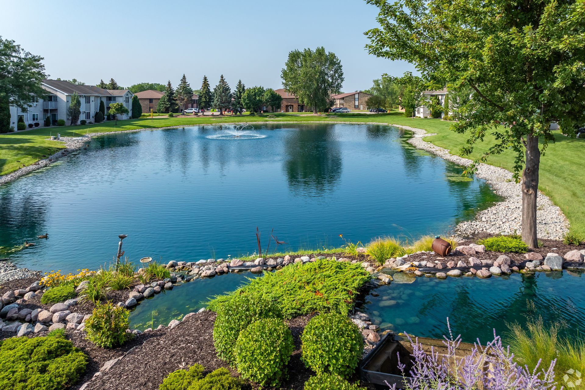 Landscaped pond with blue water, stone edging, green trees, and a small footbridge in a garden park