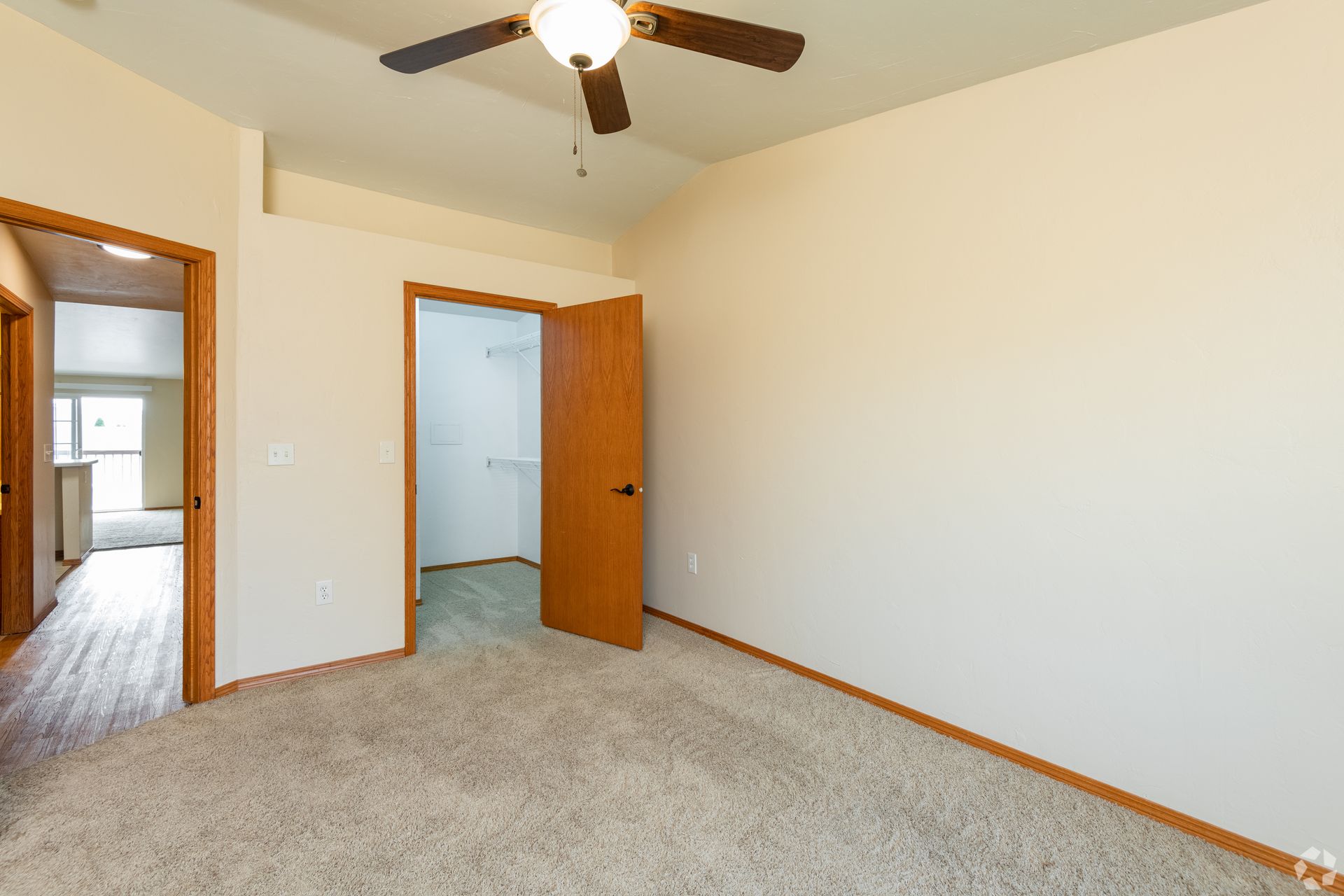 Empty beige bedroom with carpet, ceiling fan, open door, and closet door.