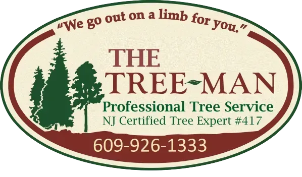 Tree Man Tree Service Tree Man Tree Service