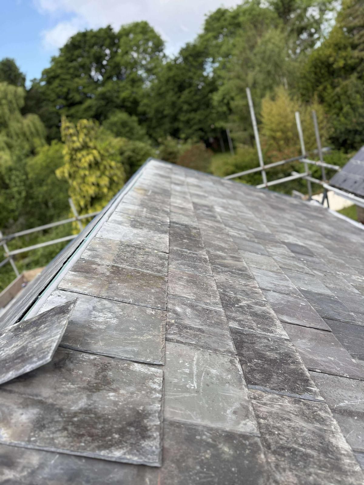Slate roof with moss, scaffolding, and trees in background.