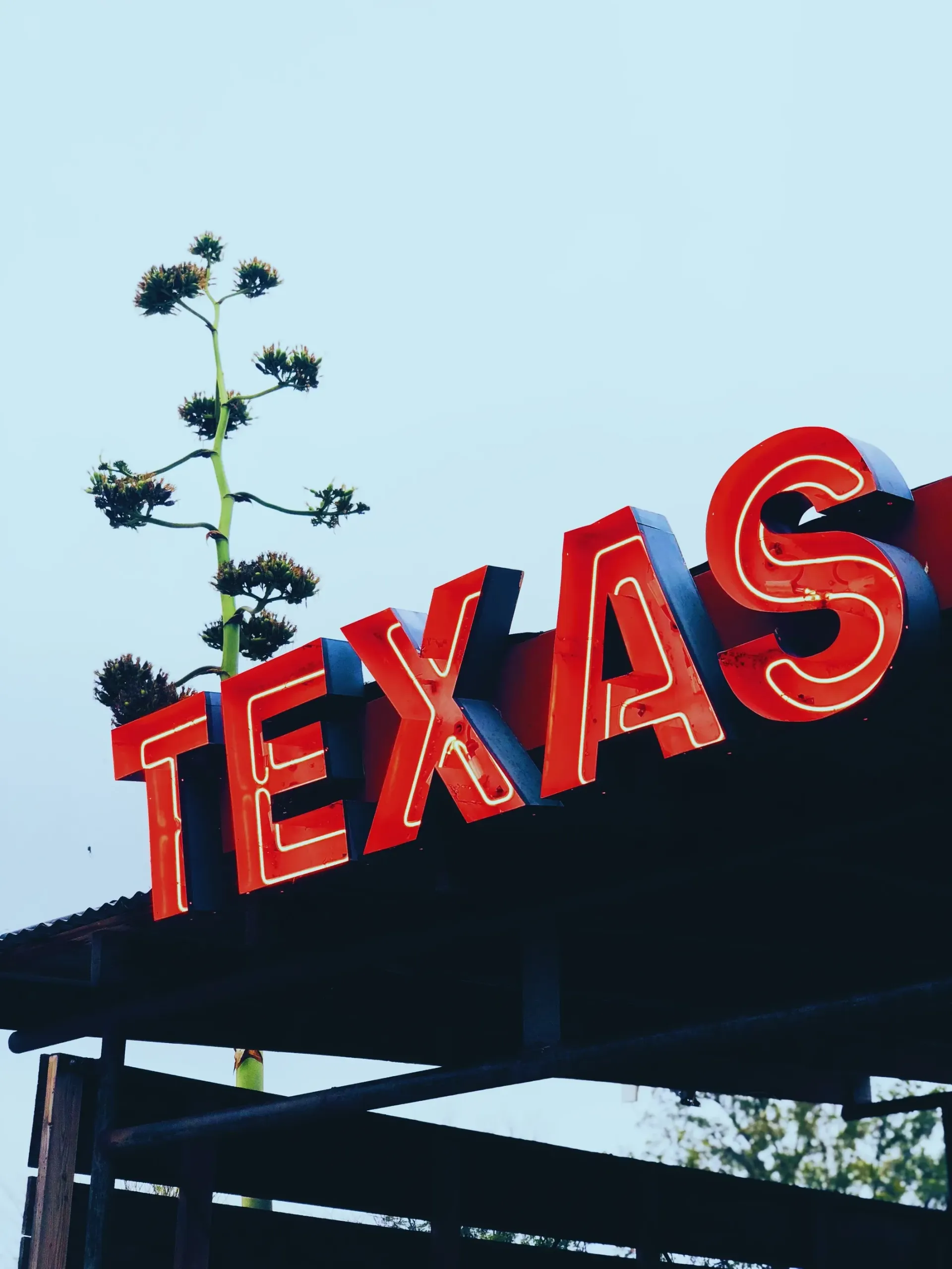 Et neonskilt som sier texas på