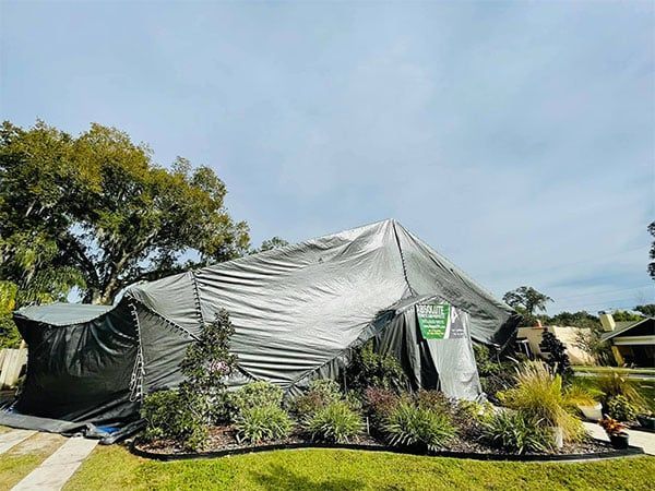 A Picture Of Pest Control Tent - Lakeland, FL - Absolute Termite and Pests LLC A Picture Of Pest Control Tent - Lakeland, FL - Absolute Termite and Pests LLC