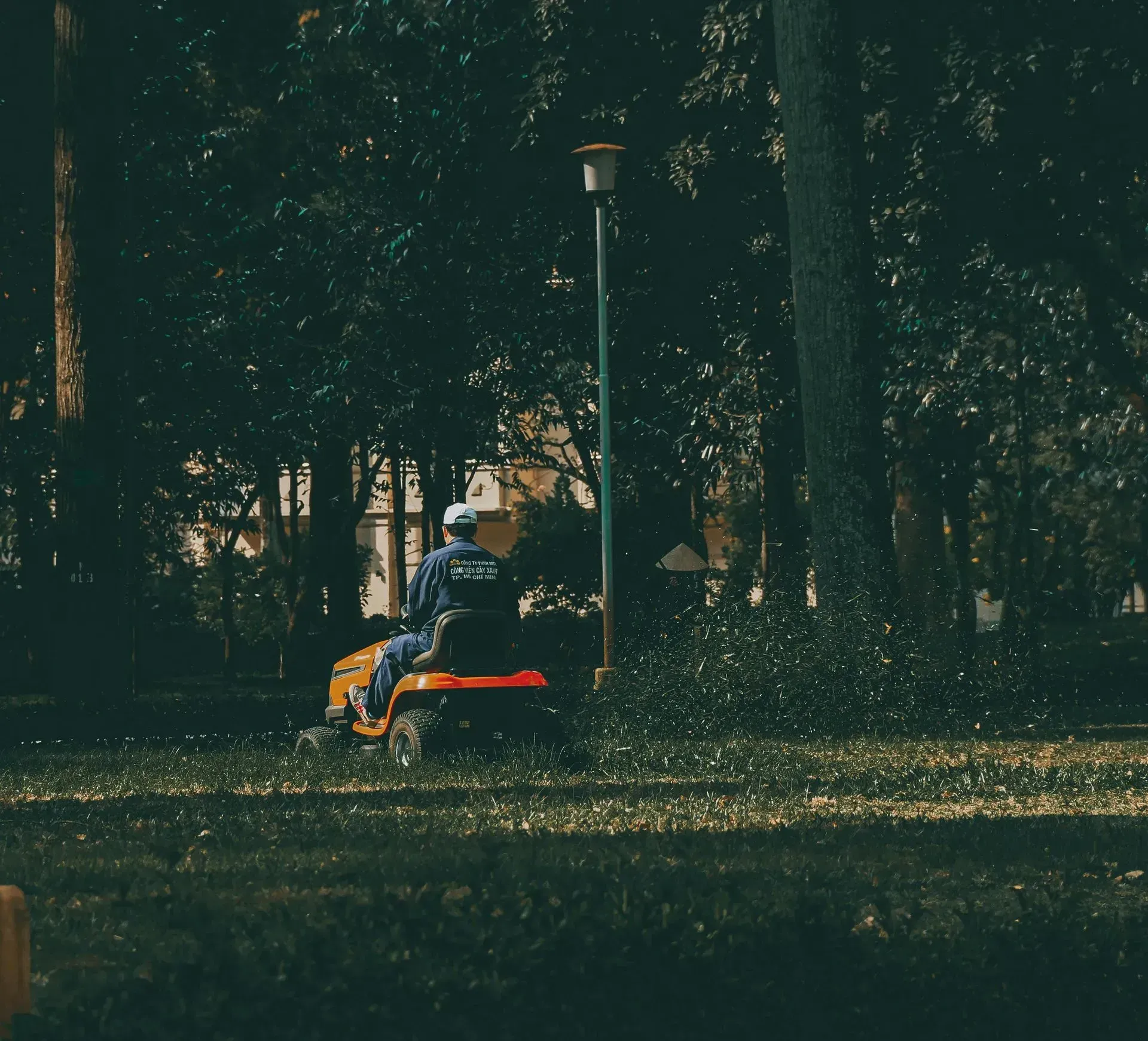 Person sitting on a red bench in a dim, tree-lined park at dusk