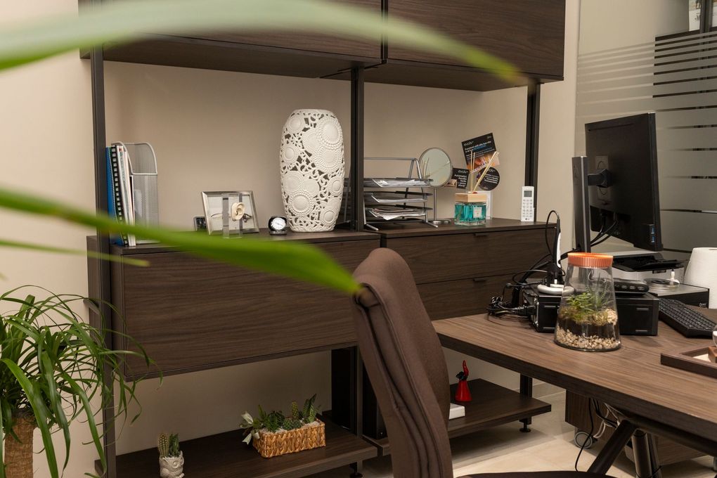 Scrivania e scaffali in un ufficio domestico con un computer portatile, una lampada, libri e piante; una foglia sfocata attraversa il primo piano.