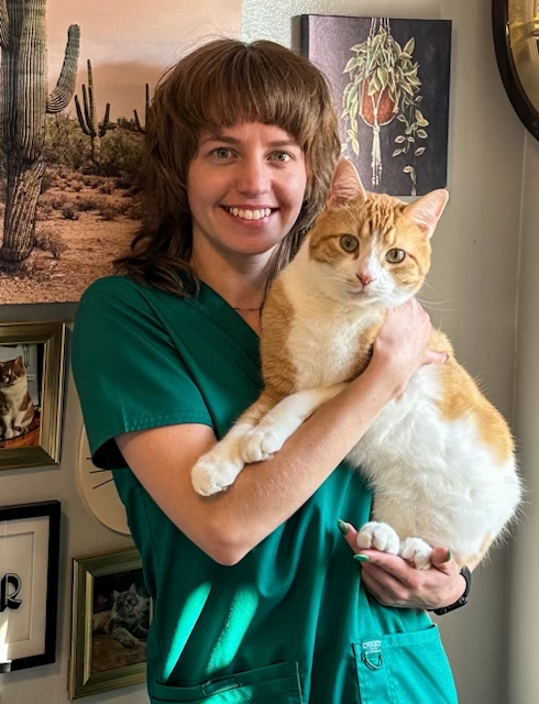 A woman in scrubs is holding an orange and white cat
