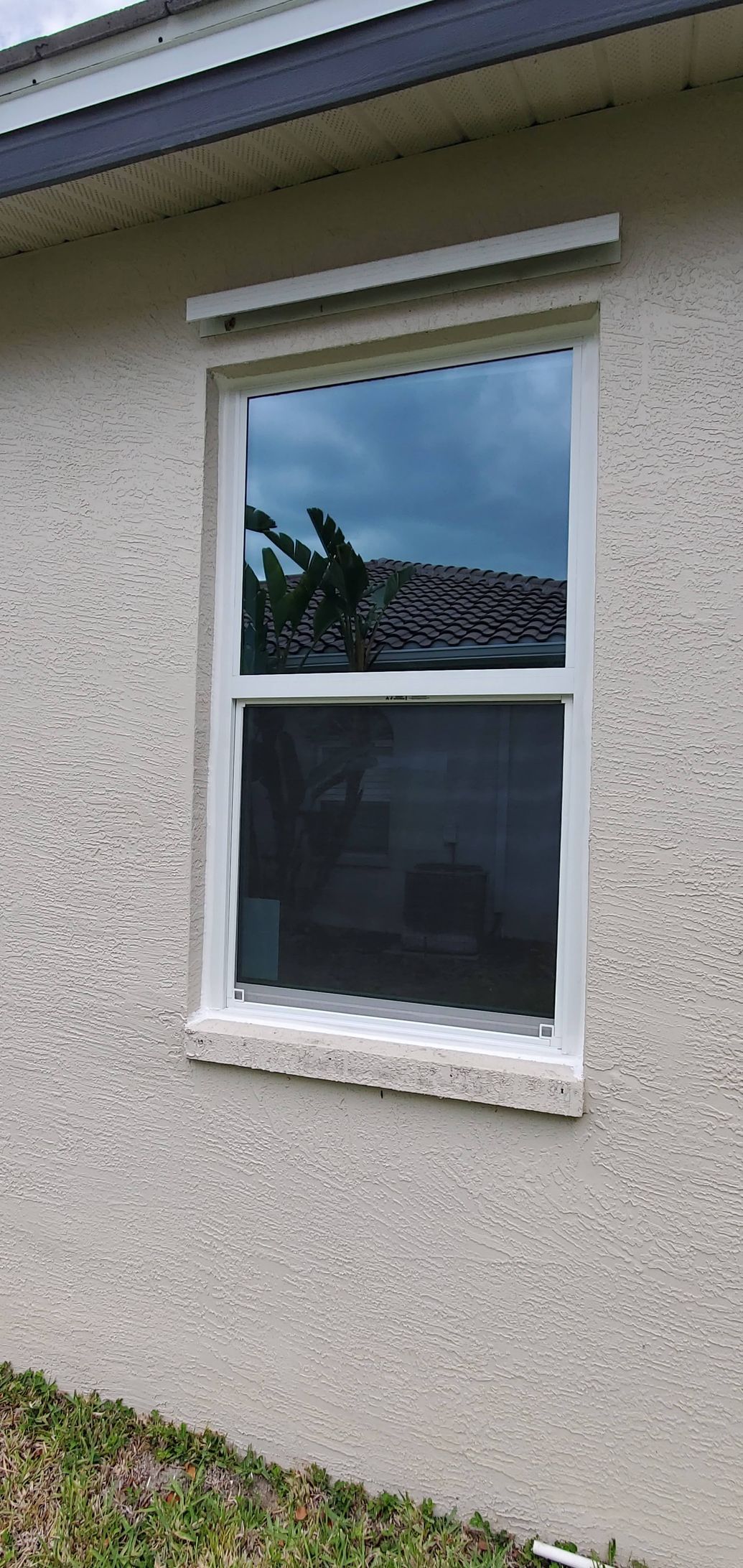 Window on a stucco building, with reflection of trees and sky.