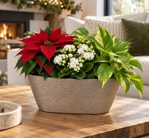https://hilltopgreenhouses.com/pages/fundlet/gatheringplace