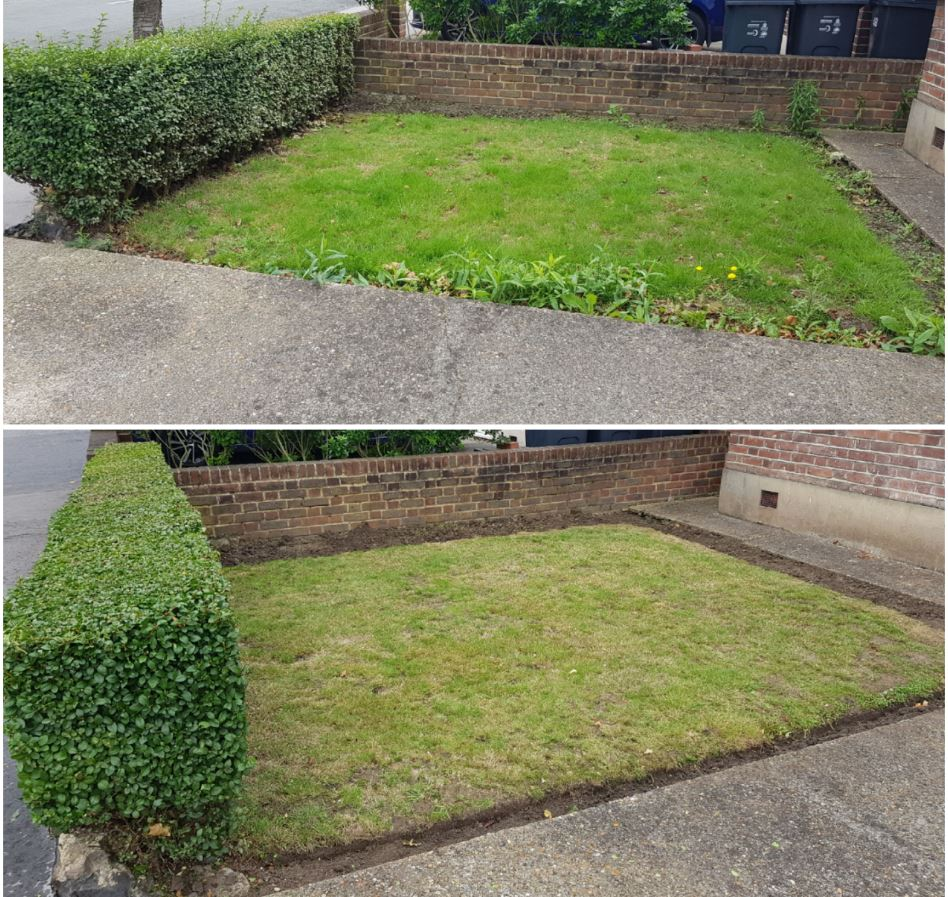Local gardening work in Croydon