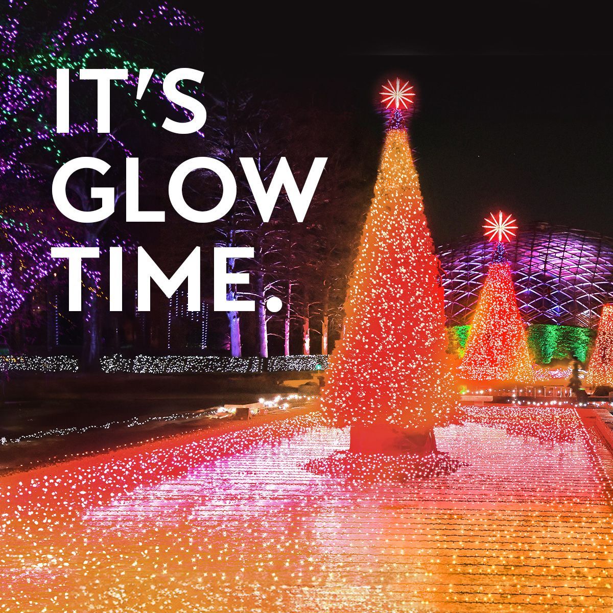 A group of christmas trees are lit up at night with the words `` it 's glow time ''.