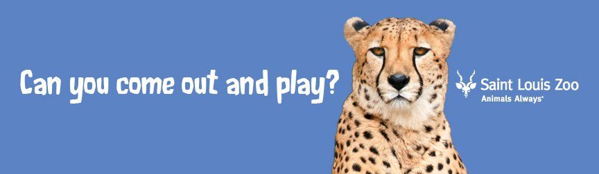 A cheetah with the words can you come out and play behind it