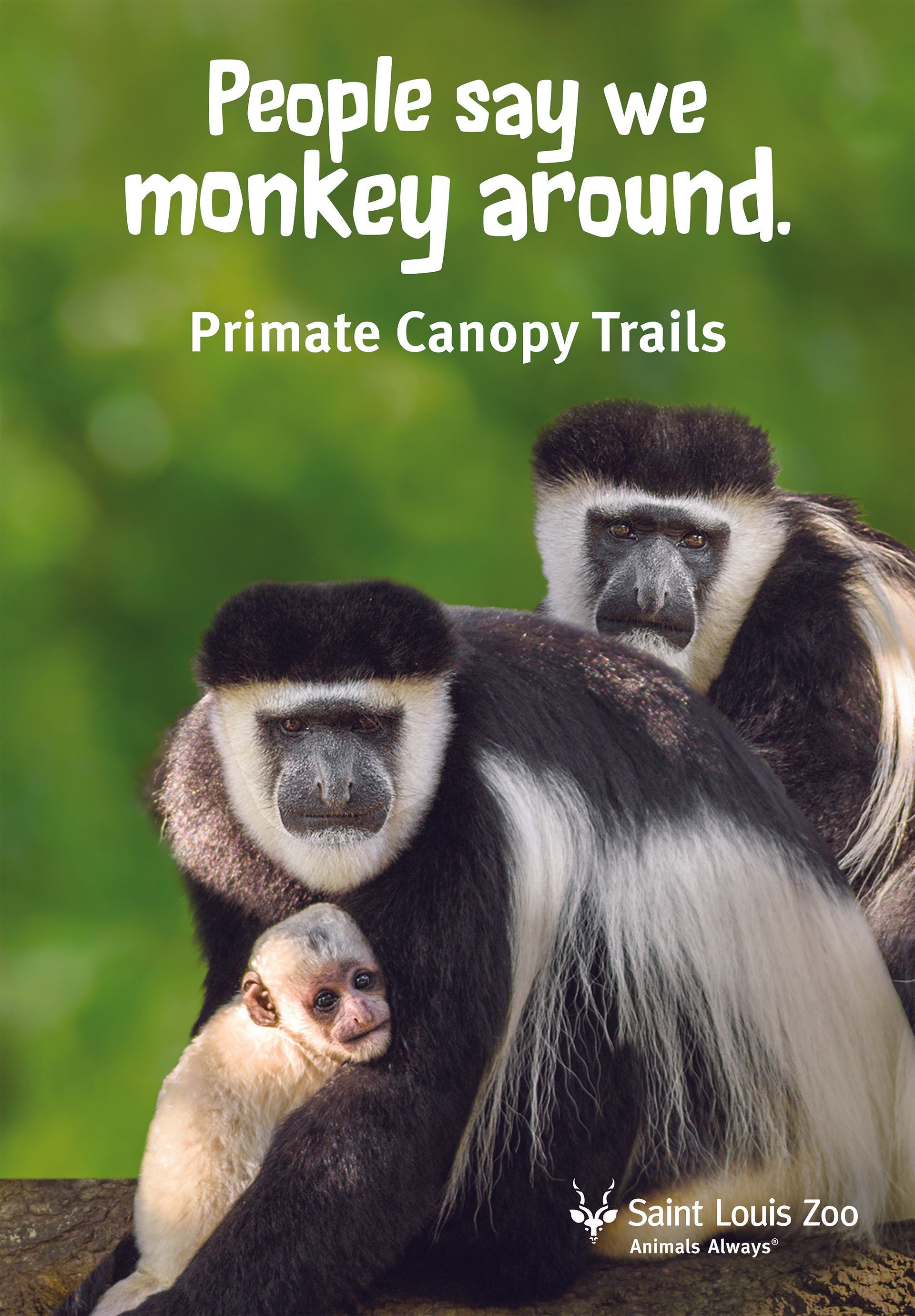 People say we monkey around primate canopy trails bus shelter