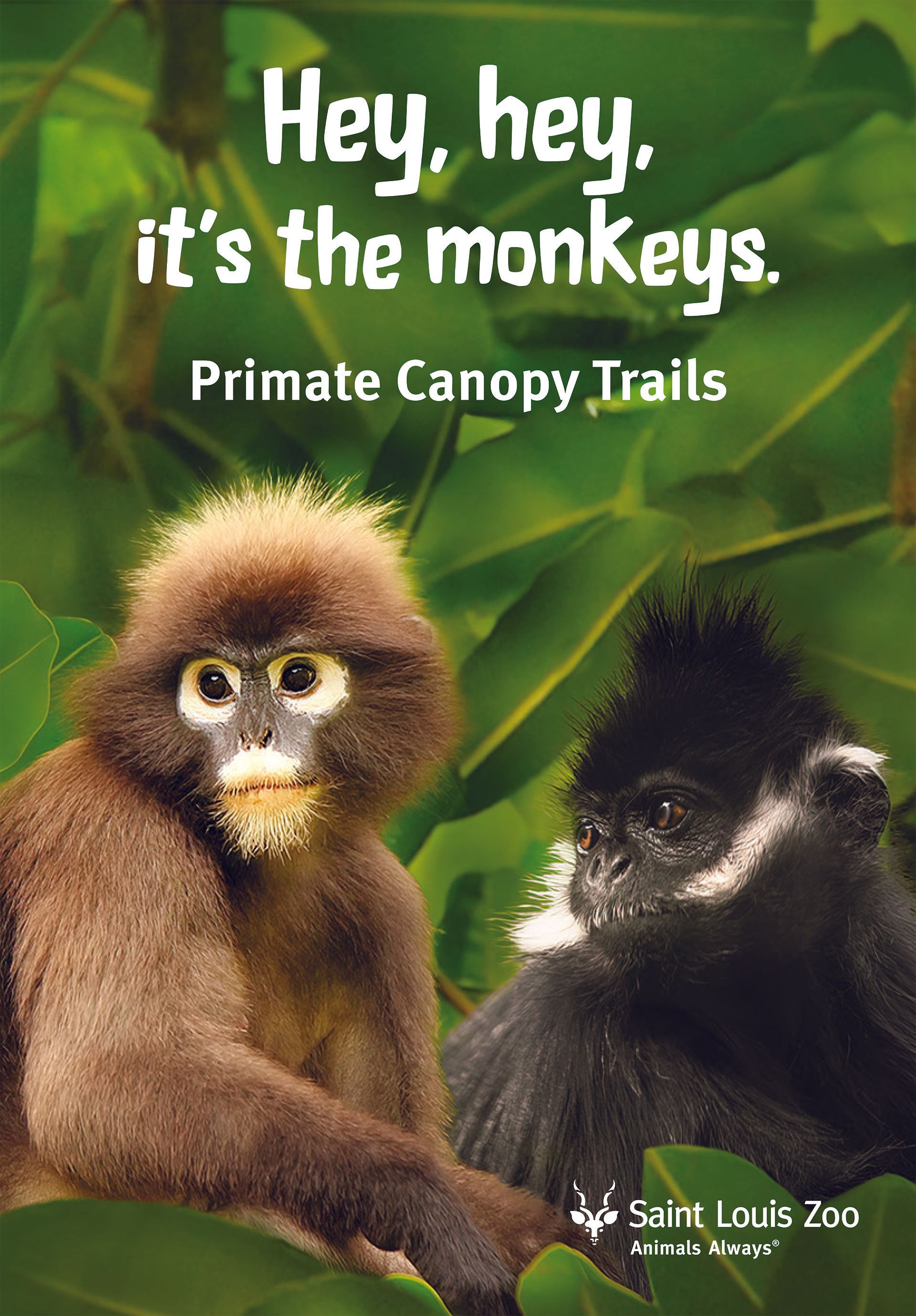 A bus shelters that says hey hey it 's the monkeys