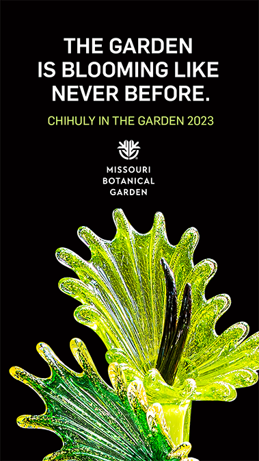 The Missouri Botanical Garden is blooming like never before.
