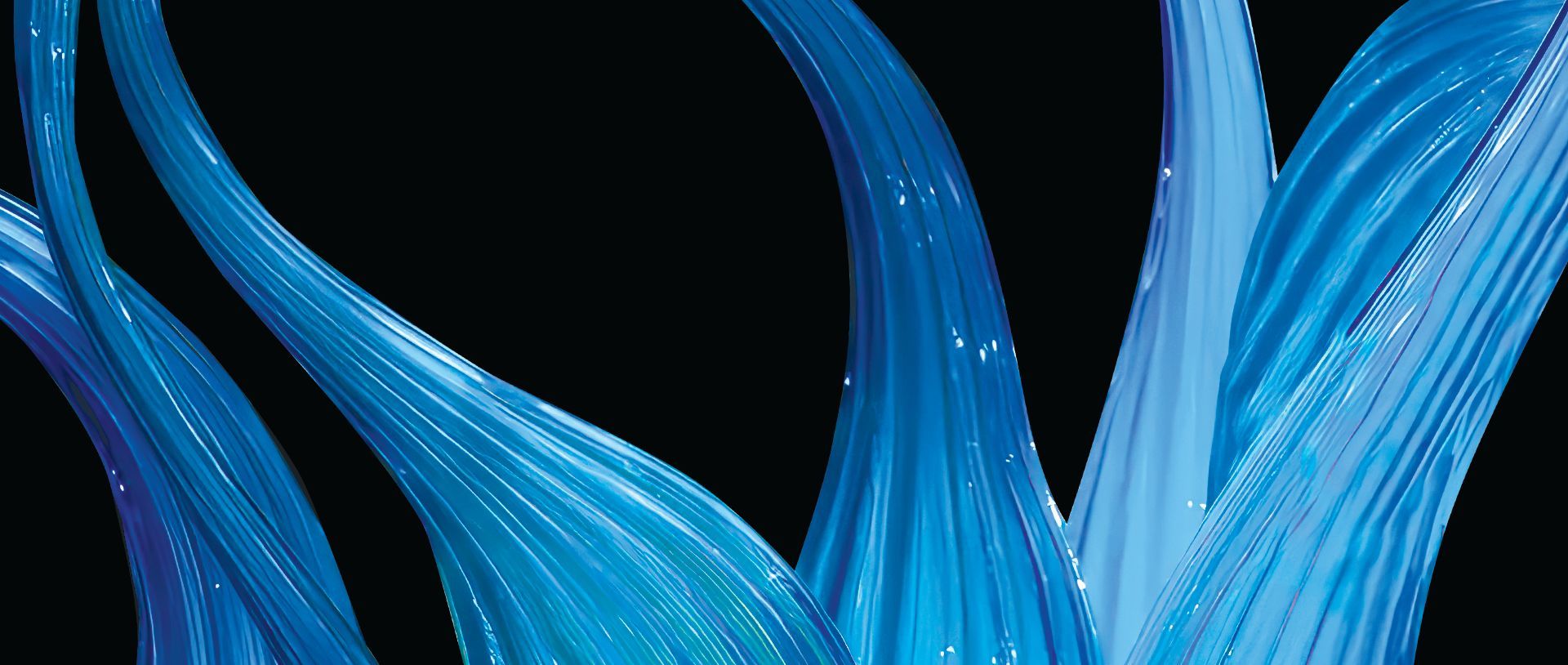A close up of a blue flower on a black background.
