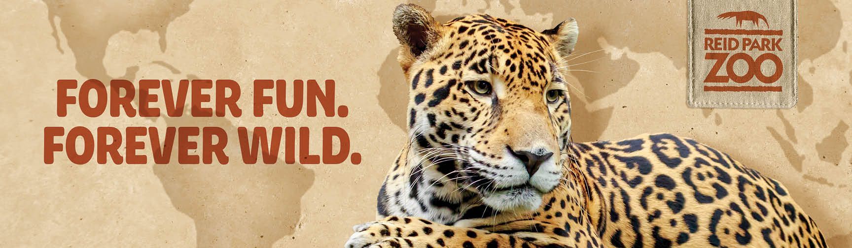 An advertisement for a zoo with a leopard and the words forever fun forever wild