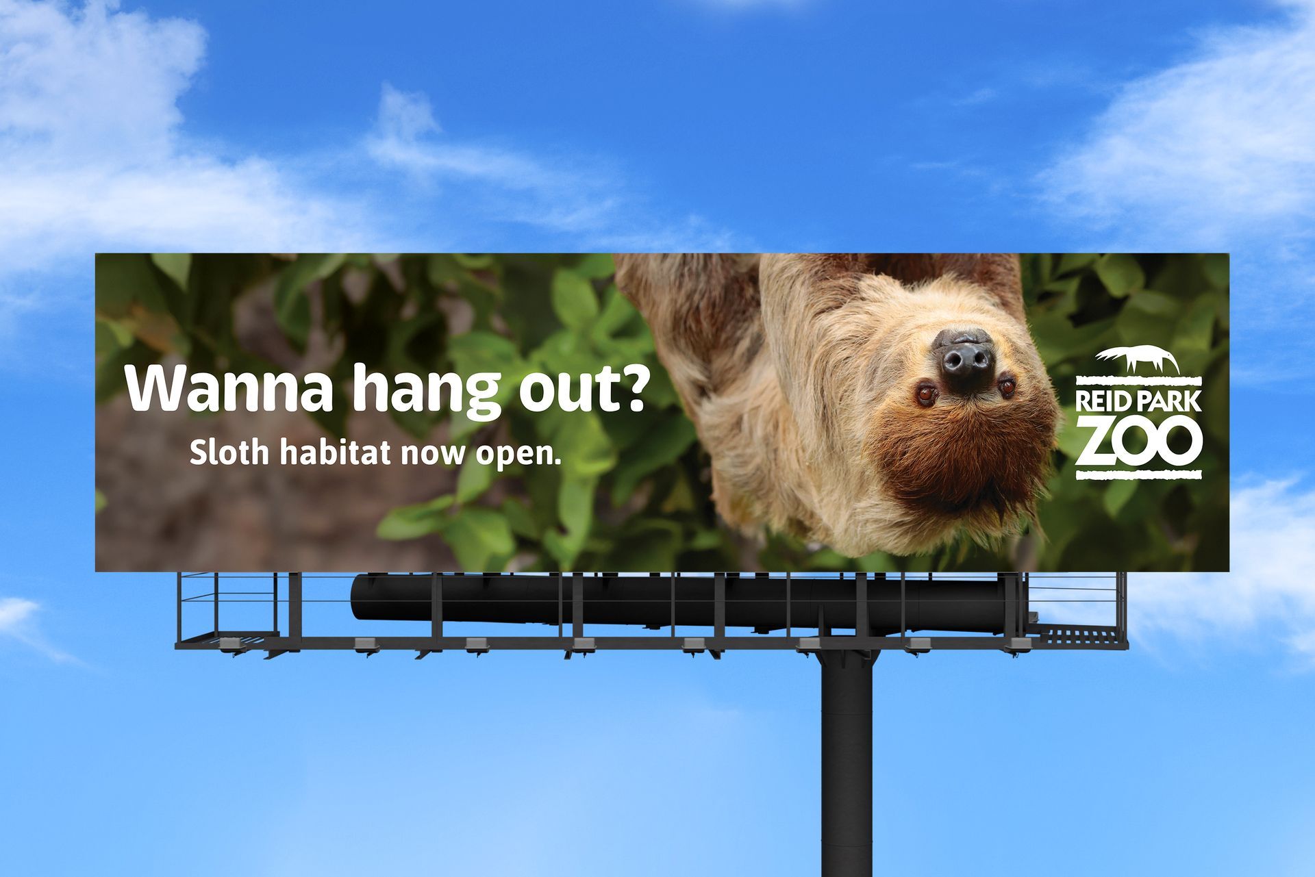 A Reid Park Zoo billboard that says wanna hang out sloth habitat now open