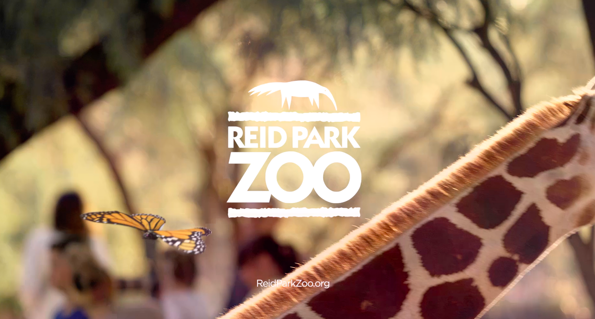 A giraffe is standing in front of a reid park zoo logo