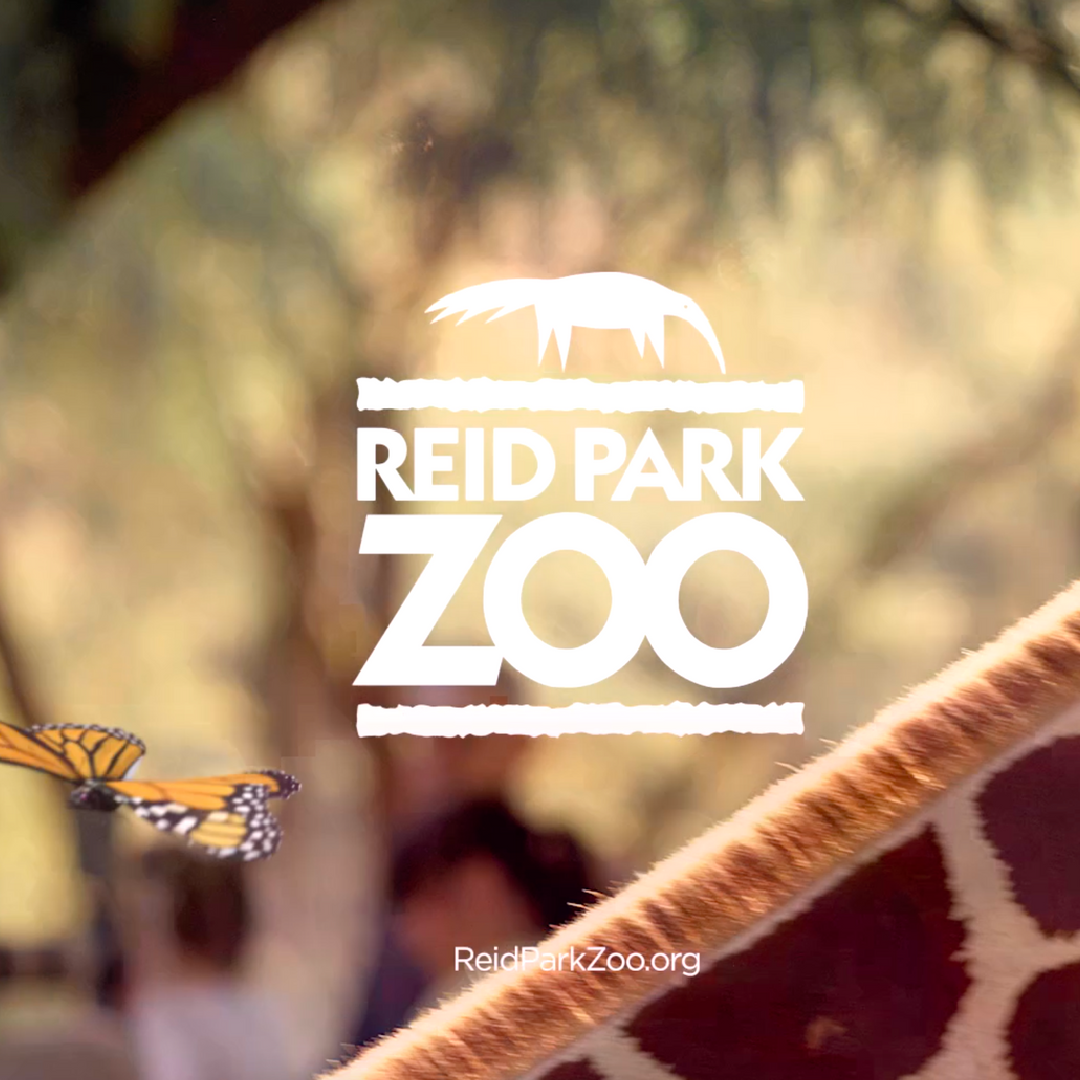A reid park zoo logo with a giraffe in the background