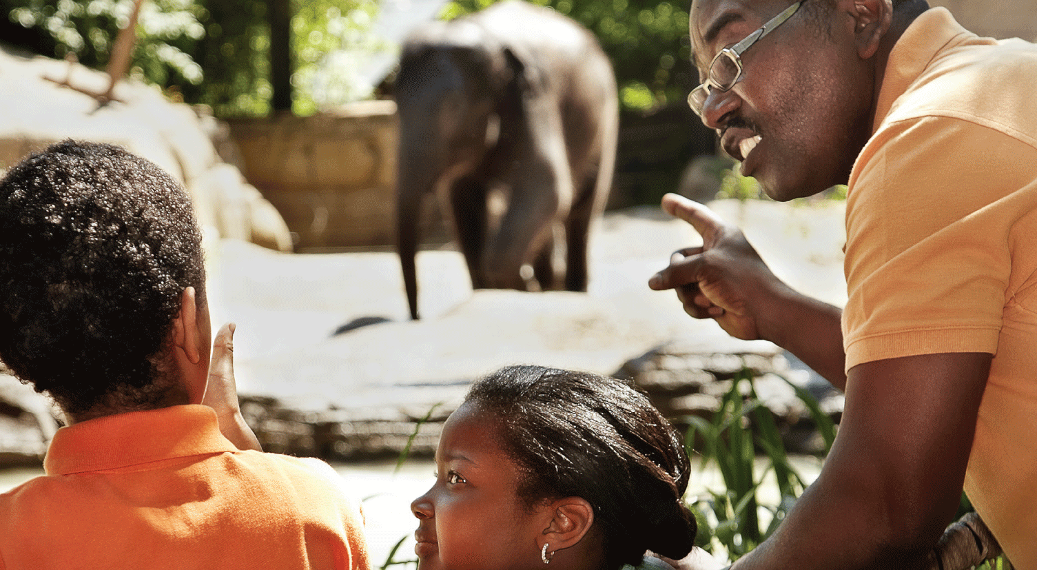 A man and two children are looking at an elephant at a zoo.