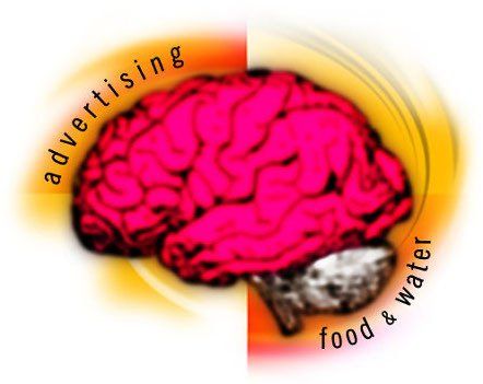 A drawing of a brain with the words advertising food and water around it