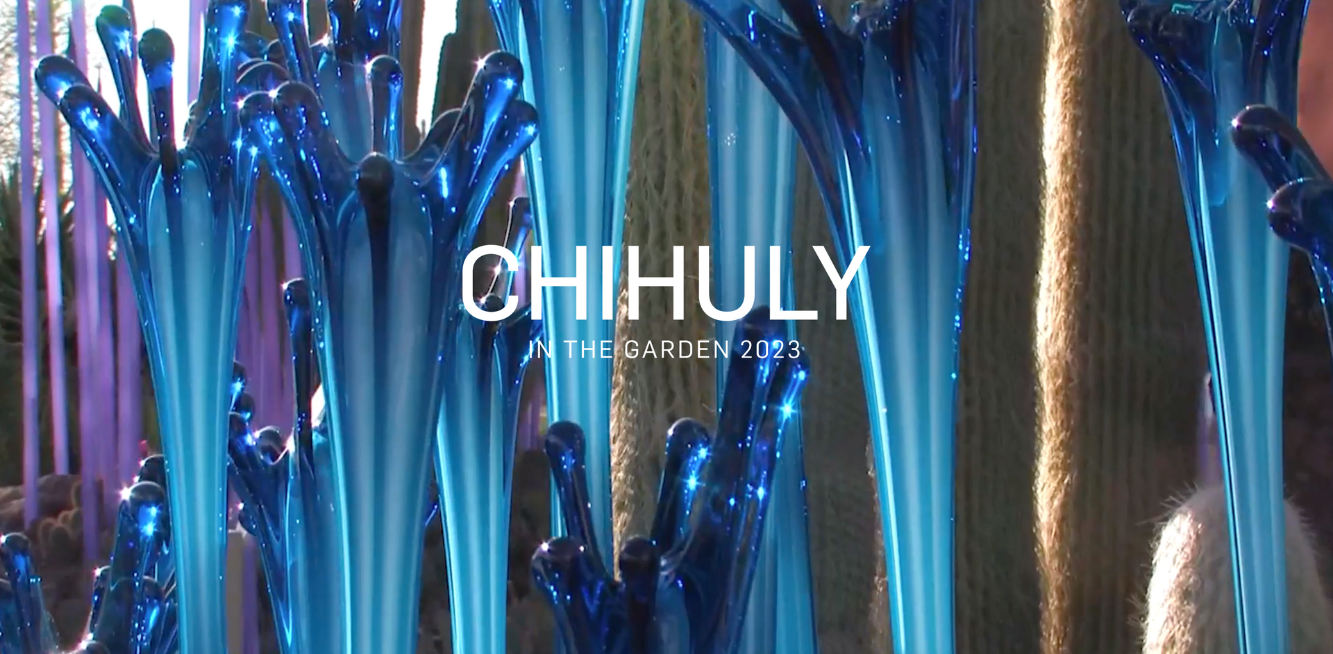 A sign that says chihuly on it