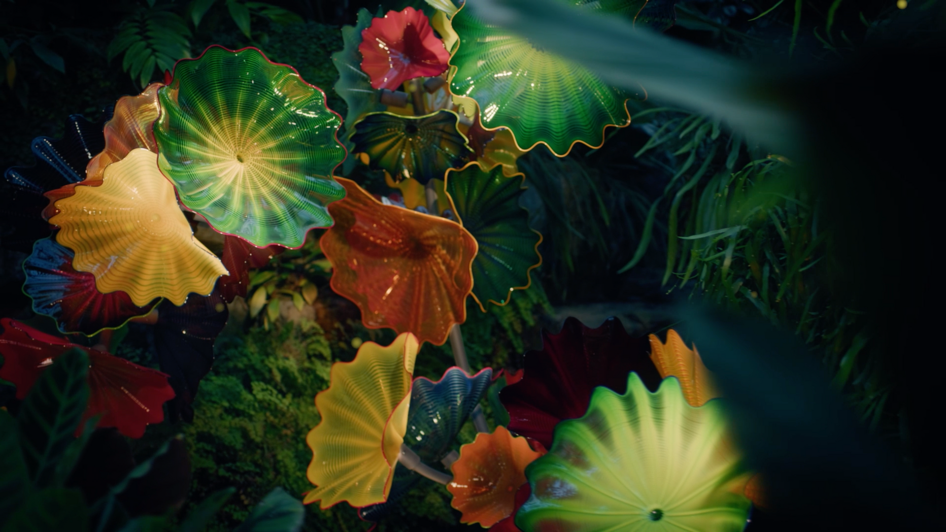 A close up of a bunch of colorful flowers in a dark room.