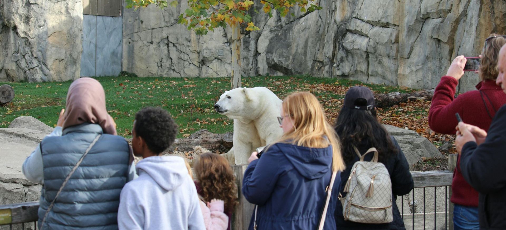 A group of people are standing around a polar bear at a zoo.