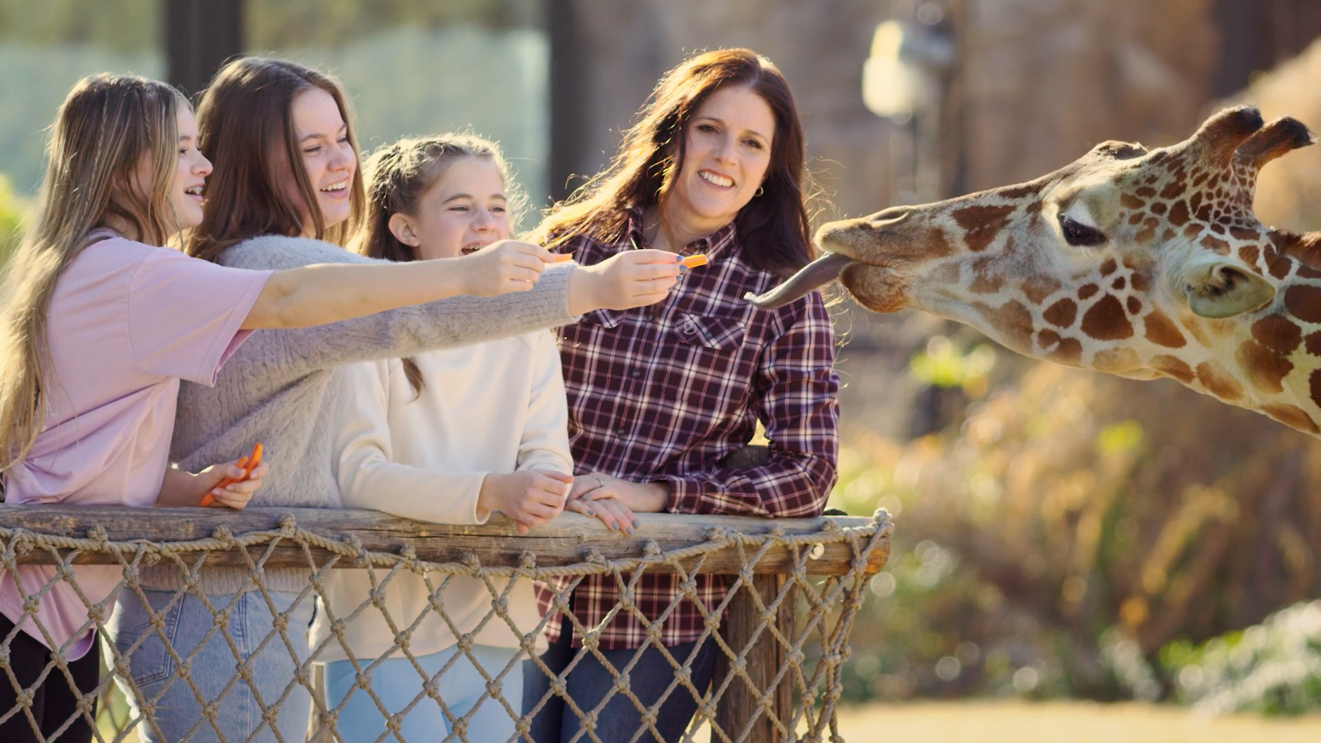 An advertising agency of a group of people are feeding a giraffe at a zoo.