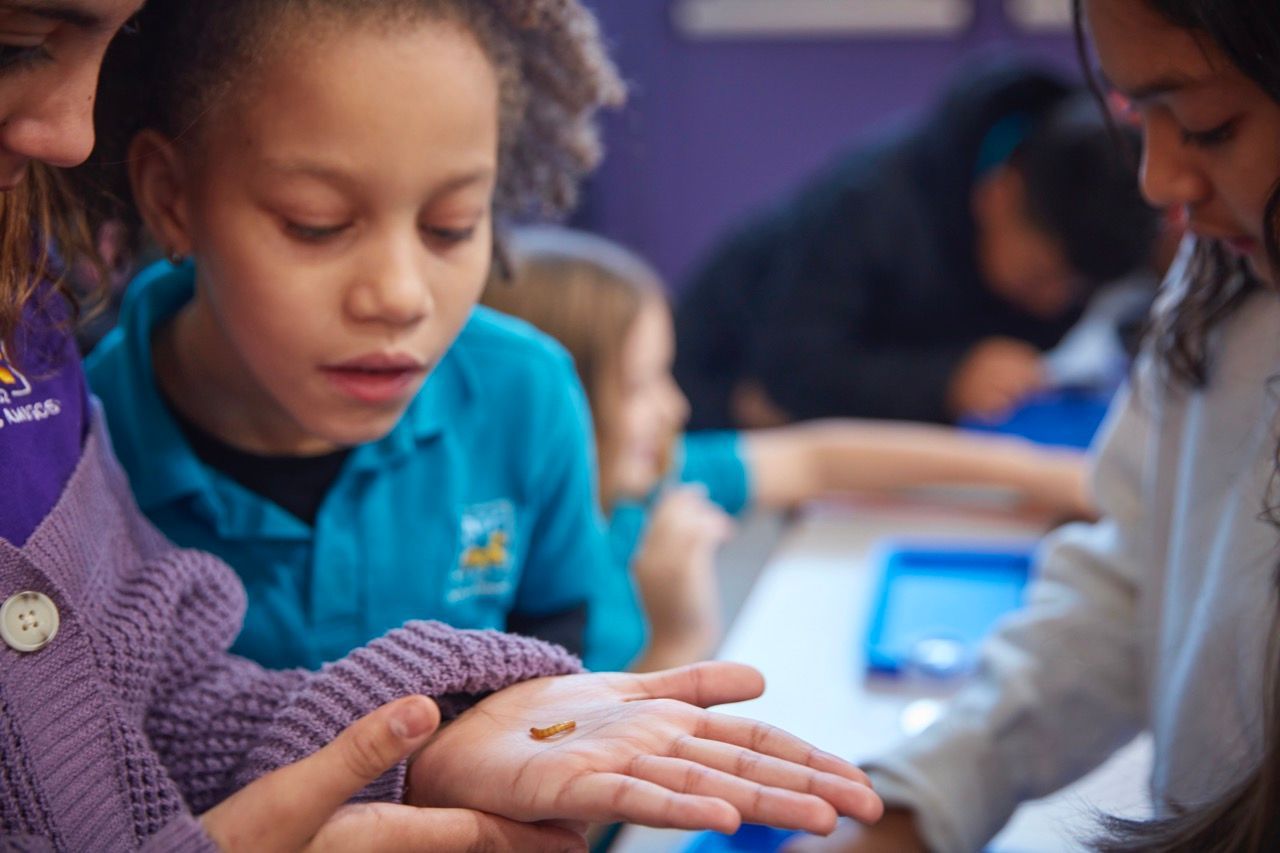Children in a classroom sharing a hands-on activity with a teacher nearby