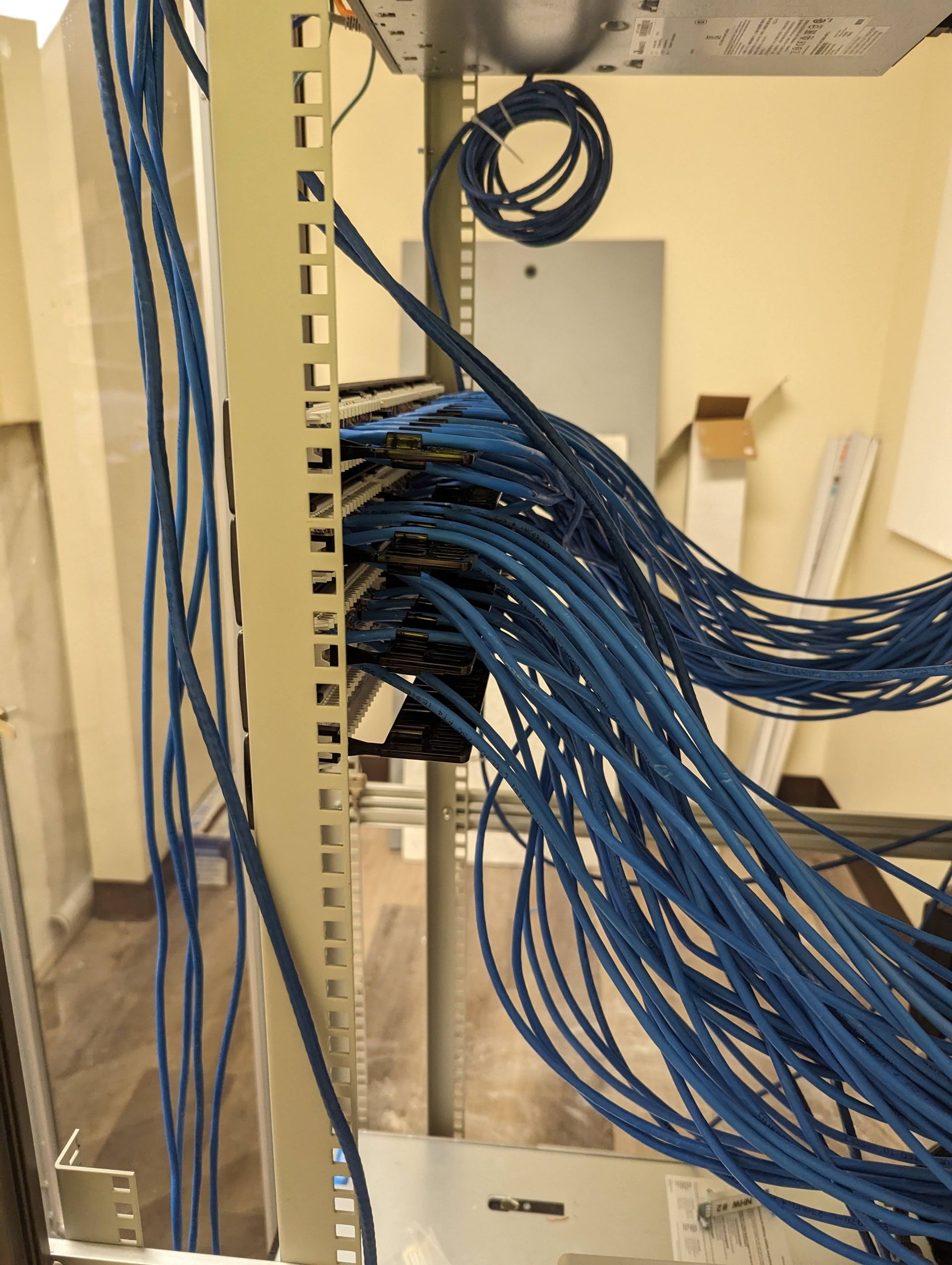 A bunch of blue wires are hanging from a rack