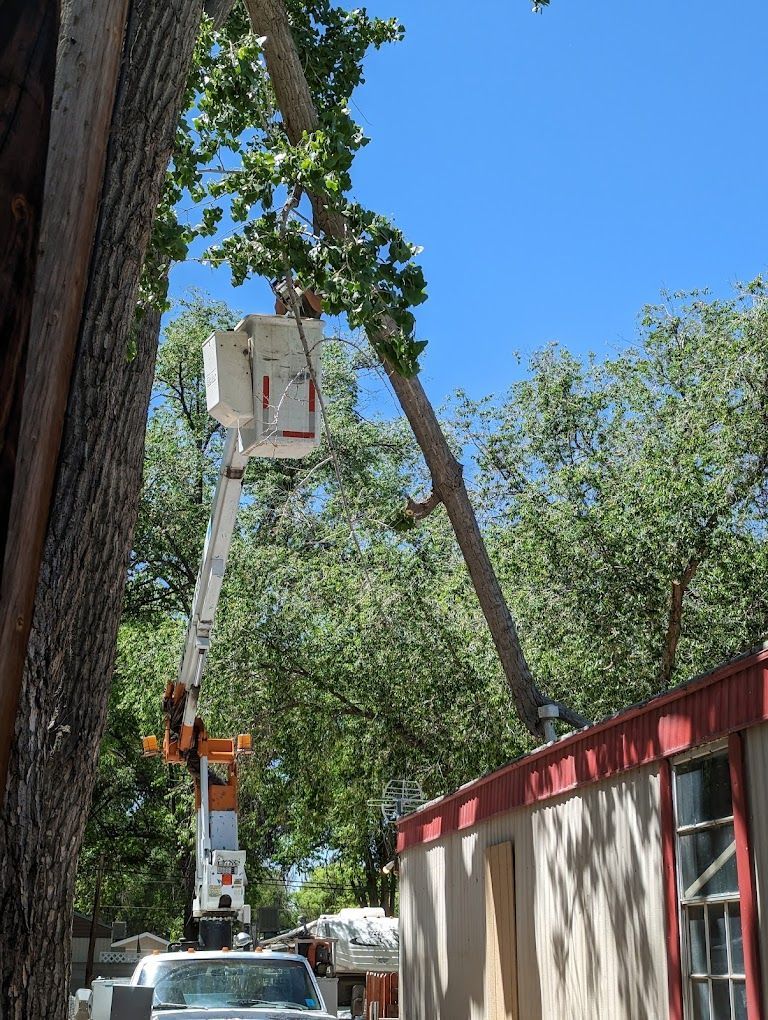 Cherry picker trimming tree branches beside a red building on a sunny day