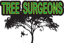 TREE SURGEONS logo with green lettering above a black tree silhouette on a white background