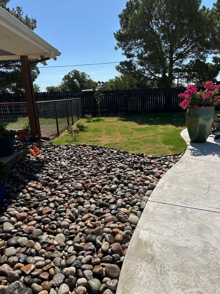 Sunny backyard with rock bed, curved concrete patio, green lawn, black fence, and flowering potted plant