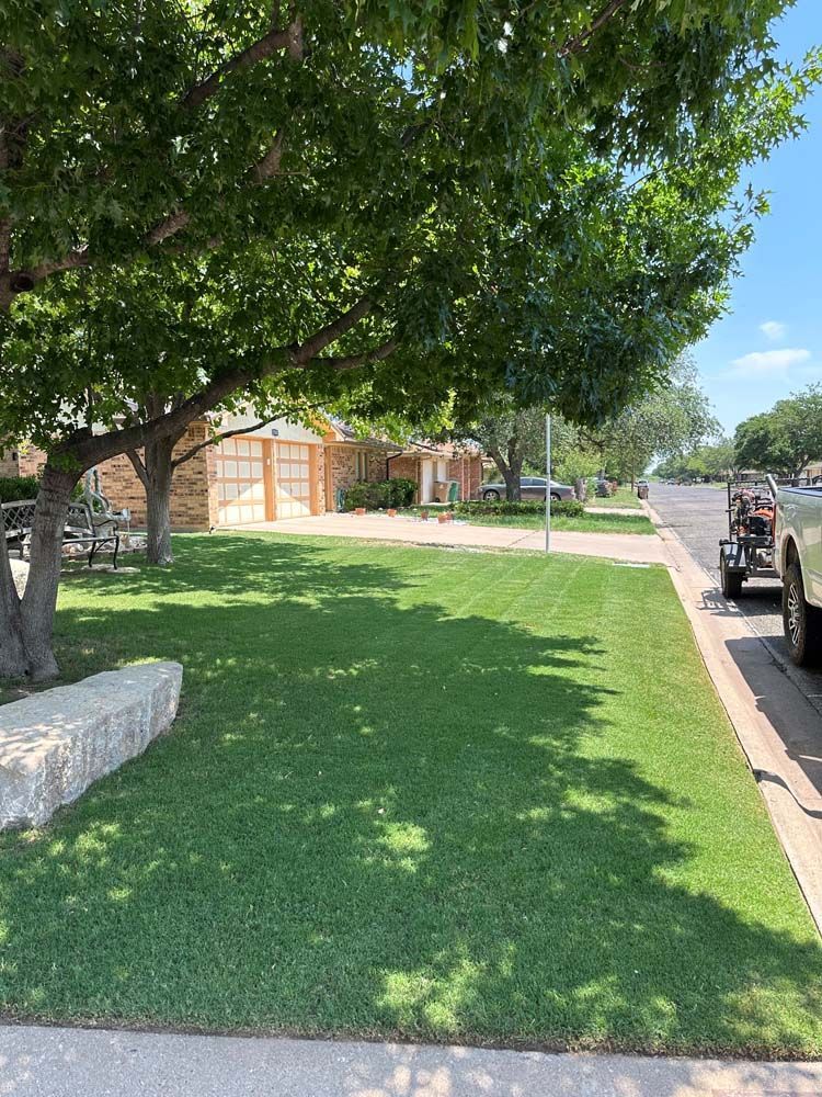 Shaded front lawn with a large tree, sidewalk, and parked cars beside a brick building