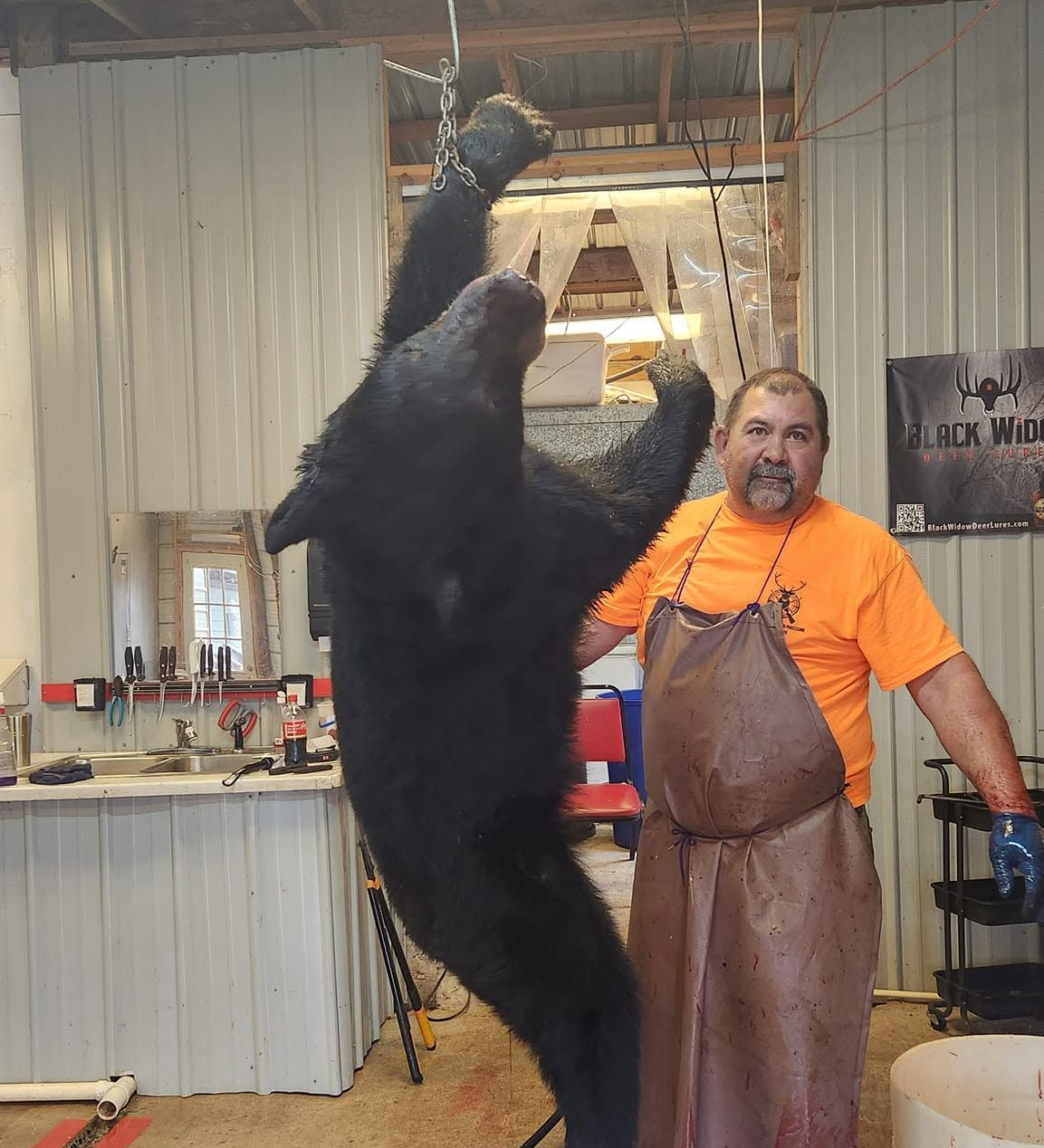 Bear Processing in Cornelia, GA Bear Processing in Cornelia, GA