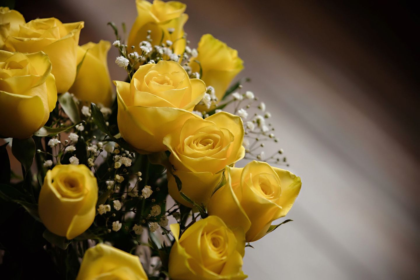 A close up of a bouquet of yellow roses with baby 's breath.