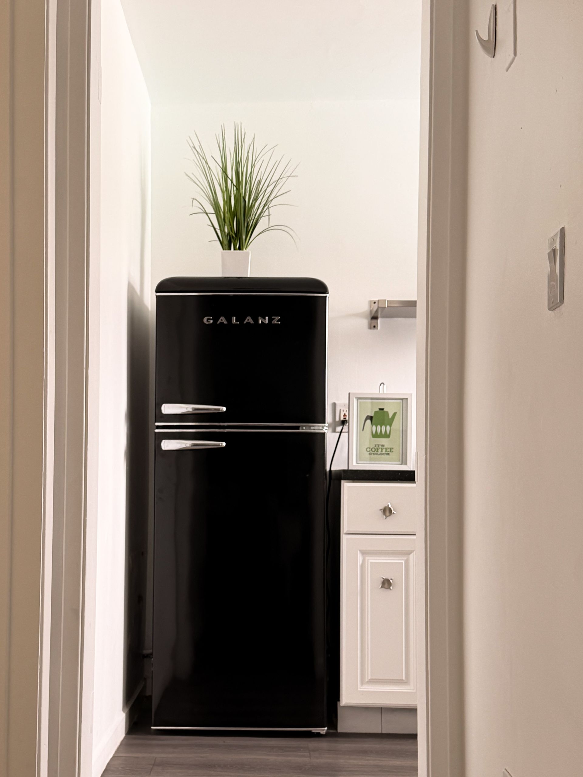 Small hallway with a black retro fridge, white cabinets, and a potted plant on top