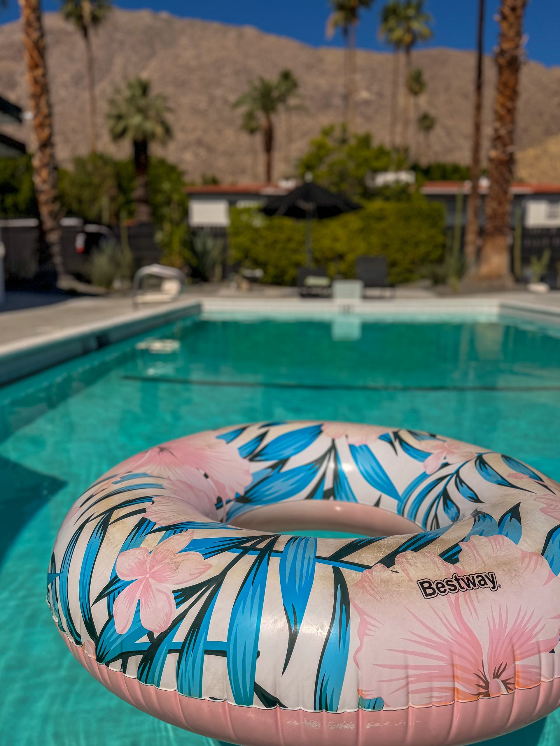 Black-and-white view of a small house with a pool in front and a palm tree at the right.