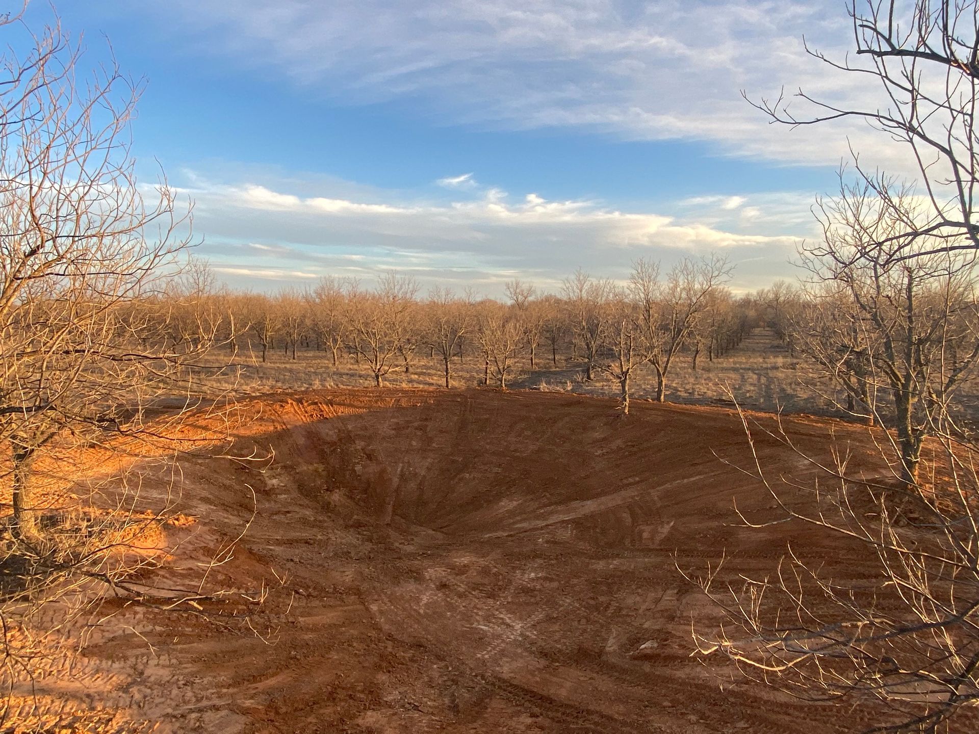 A dirt field with trees in the background and a blue sky