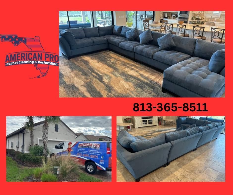 American Pro Carpet Cleaning & Restoration ad: blue sectional sofa, cleaning truck, and phone number.