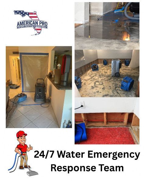 American Pro Florida water damage restoration service. Photos show water damage and drying equipment. Cartoon worker holding a hose.