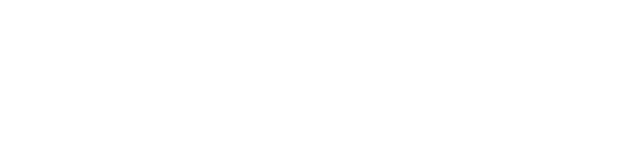 Website Design Made by Now Ahead Digital Marketing