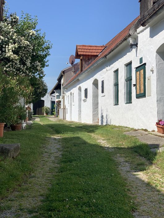 Kieslinghof  Weingut und Ferienwohnungen- Außenansicht Hof