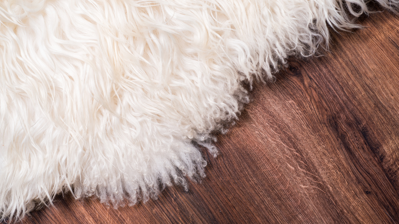 White fluffy rug on a dark brown wooden floor.