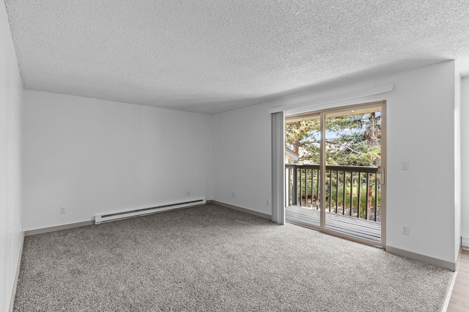 Spacious Living Room