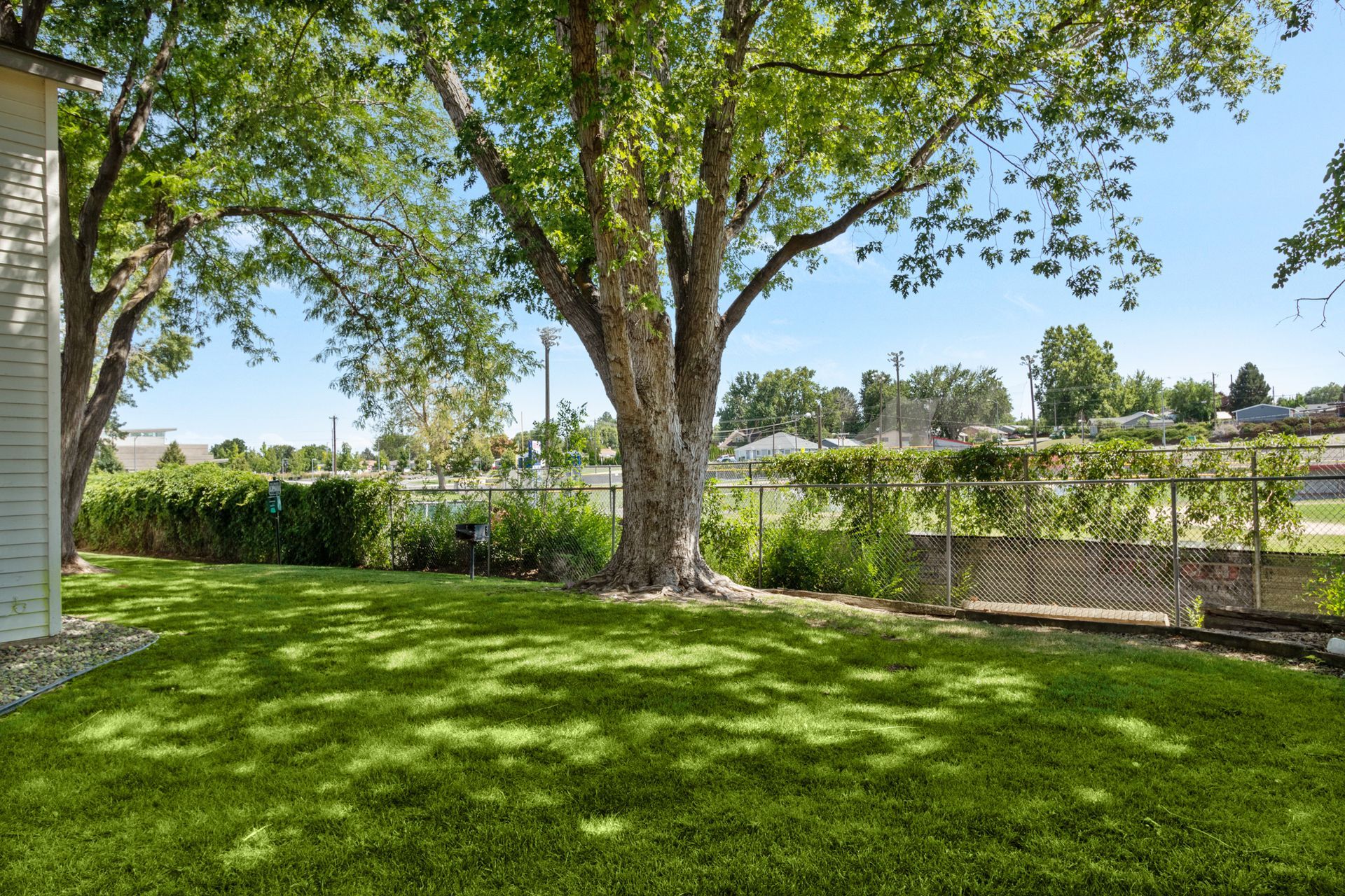 Lush, green grassy areas