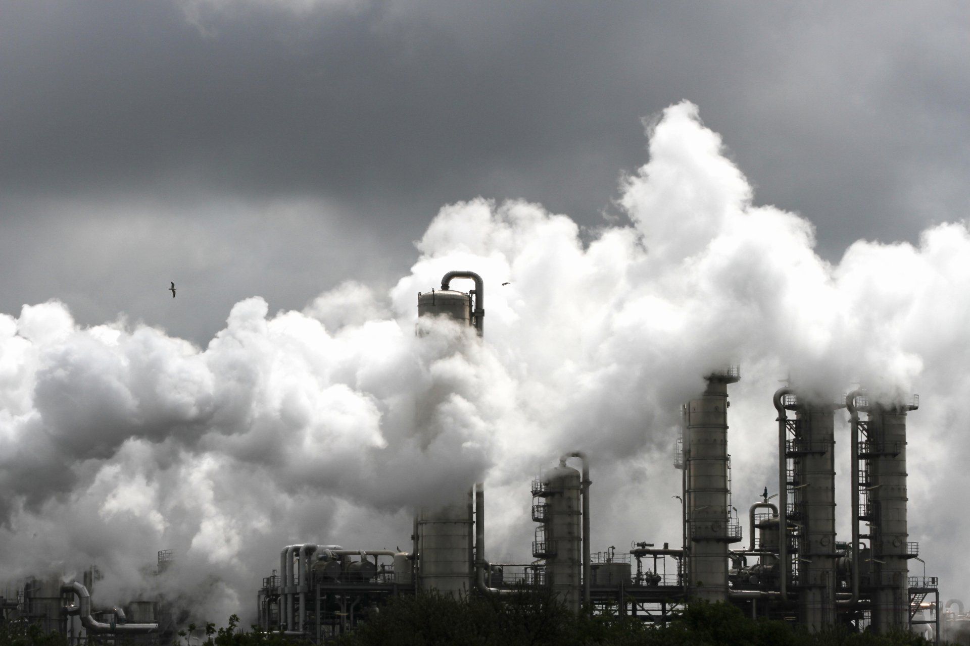 Ethylene Oxide Sterilization Plant