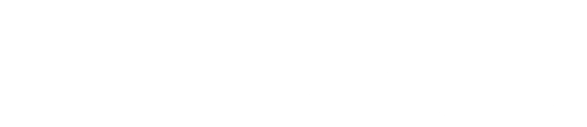 MacroActive