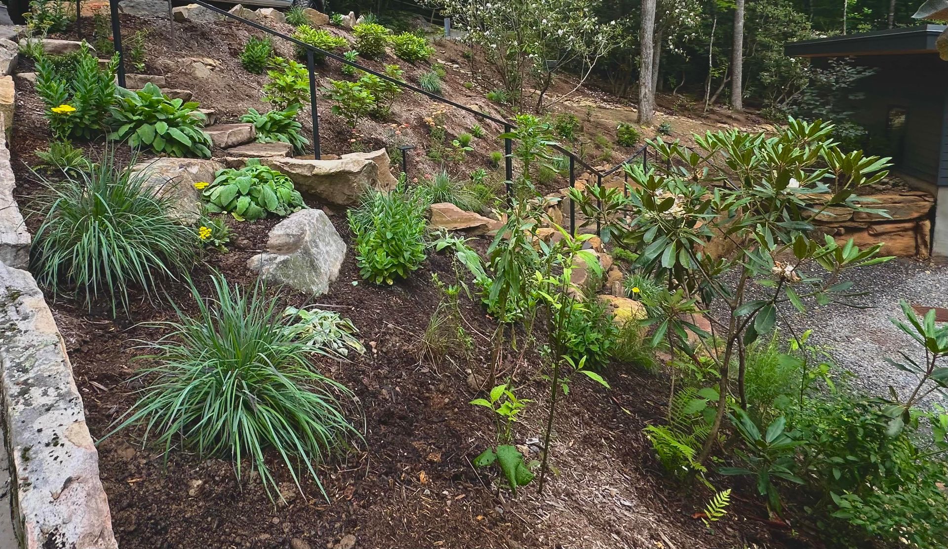 Landscaped hillside with various plants, rocks, and dark mulch.