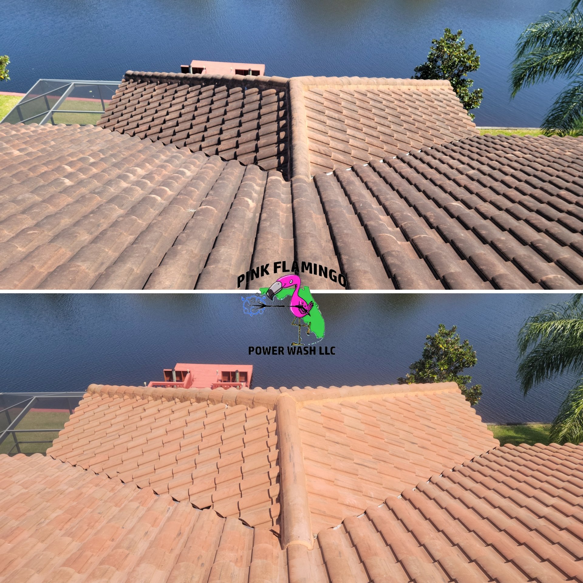 Pressure Washing Services | Tampa, FL | Pink Flamingo Power Wash